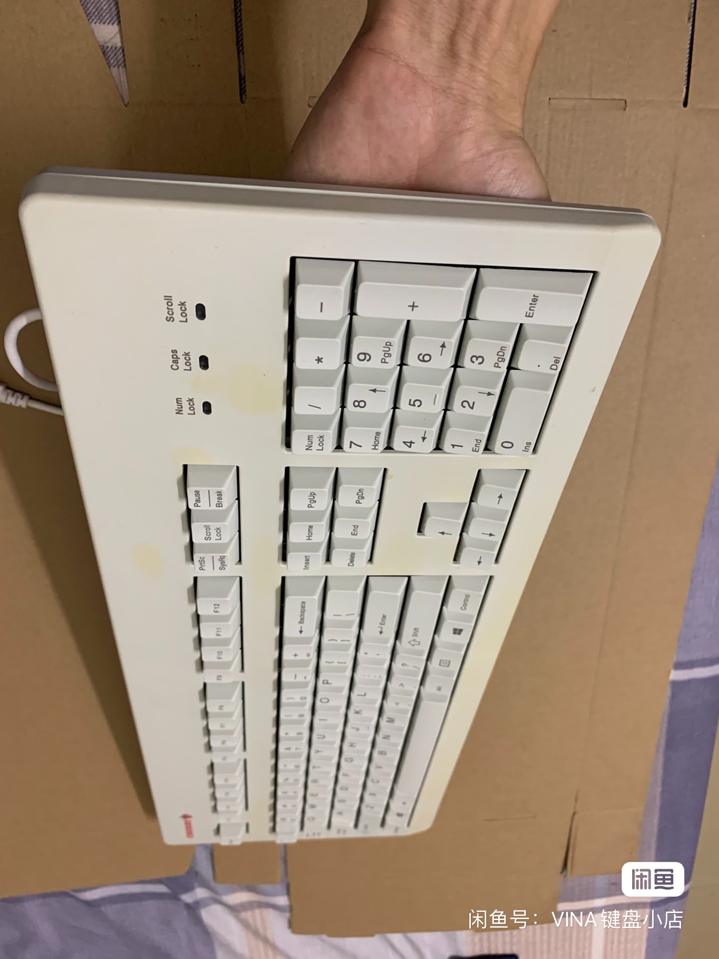 G80-3494 LECUS-0