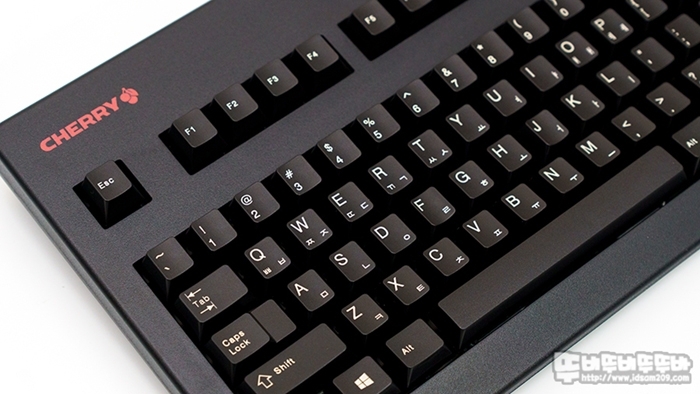 G80-3494 LECKR-2