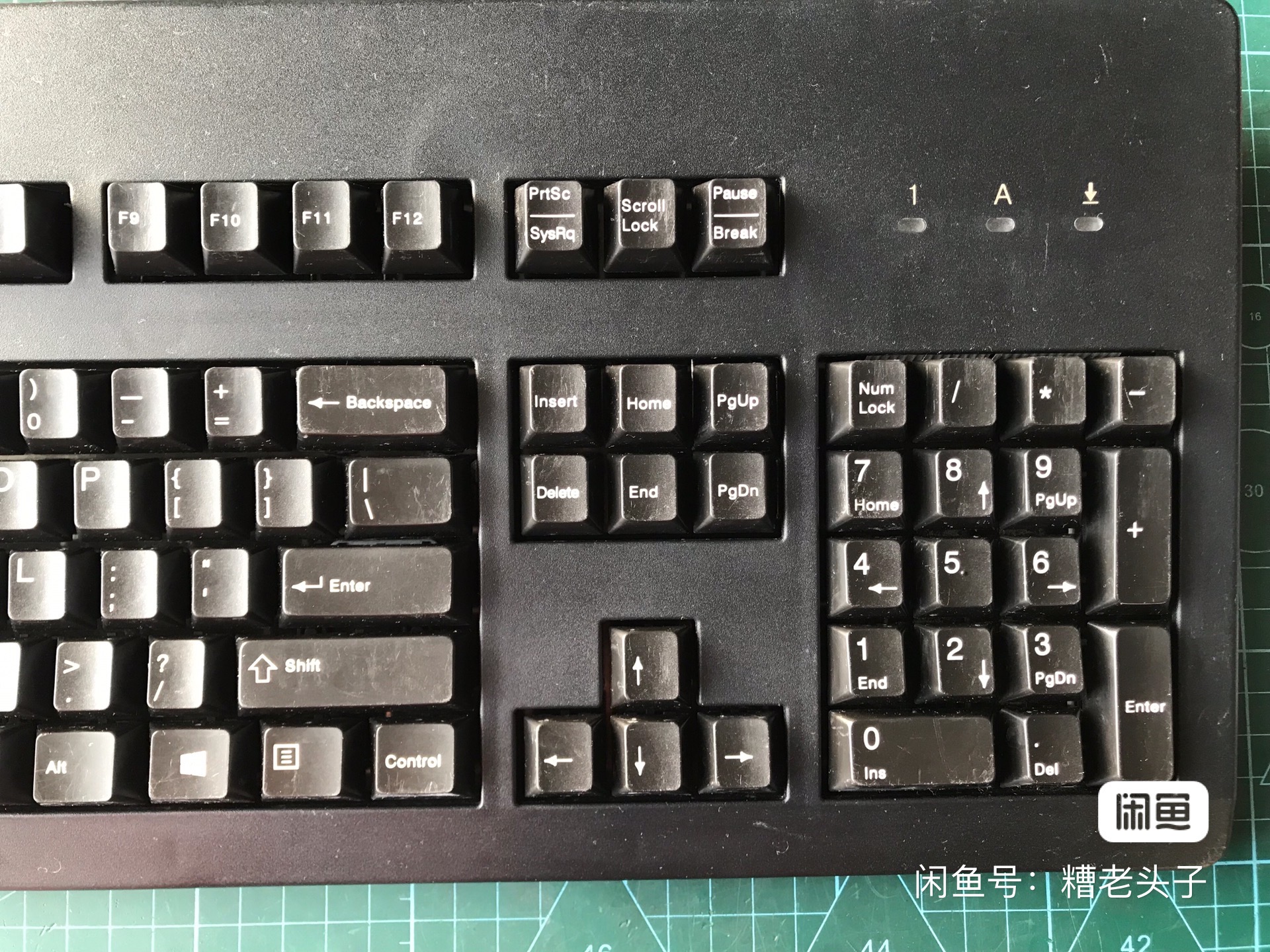 G80-3496 LXCUS