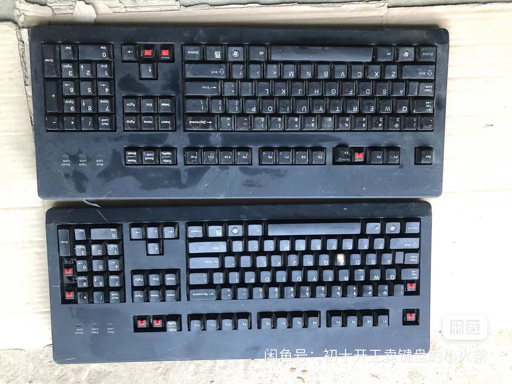 G80-3496 LYCUS
