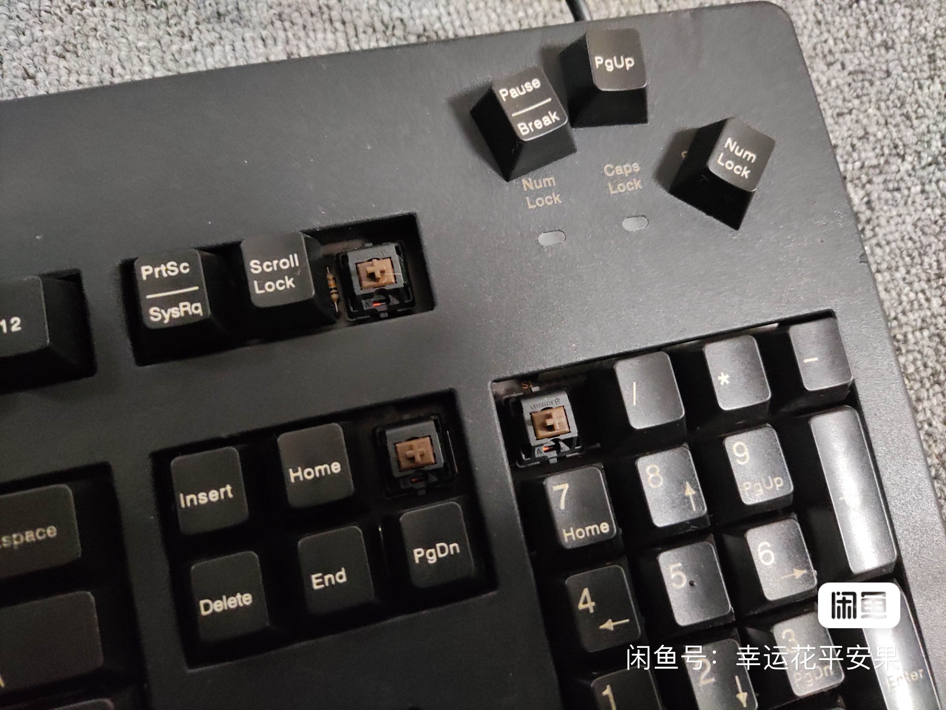 G80-3600 LXCEU