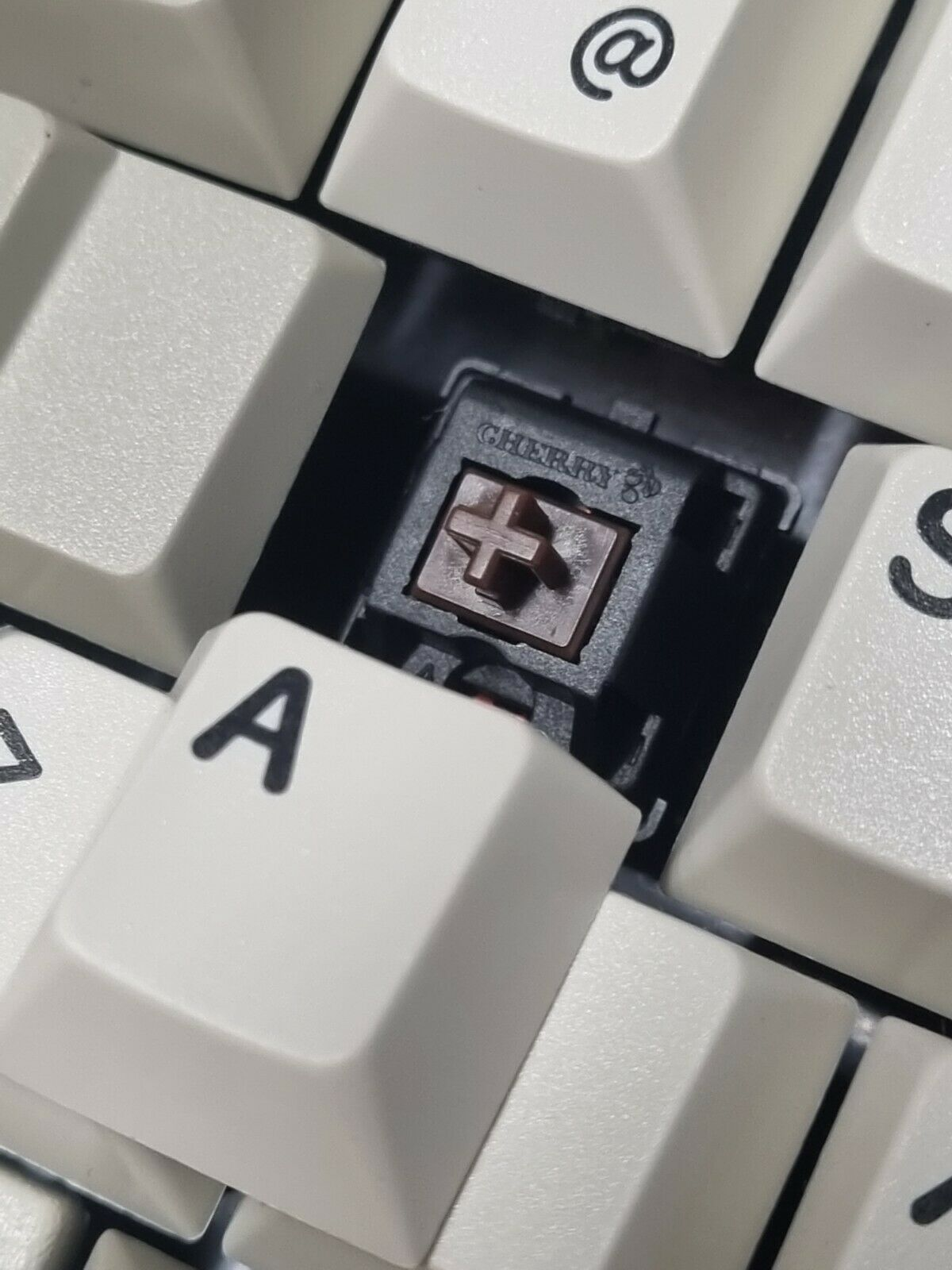 G80-5000 HAMDE
