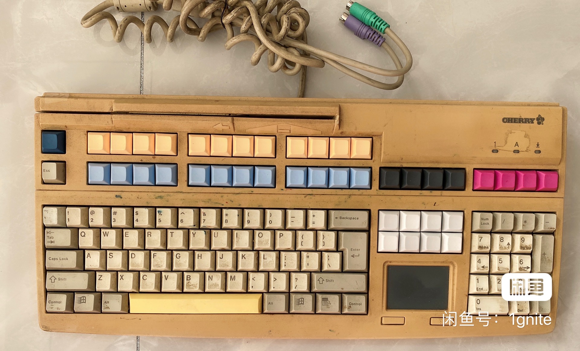 G80-8113 LRCUS
