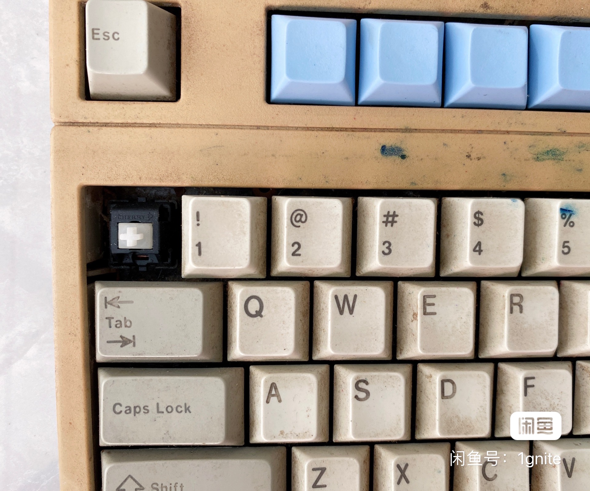 G80-8113 LRCUS