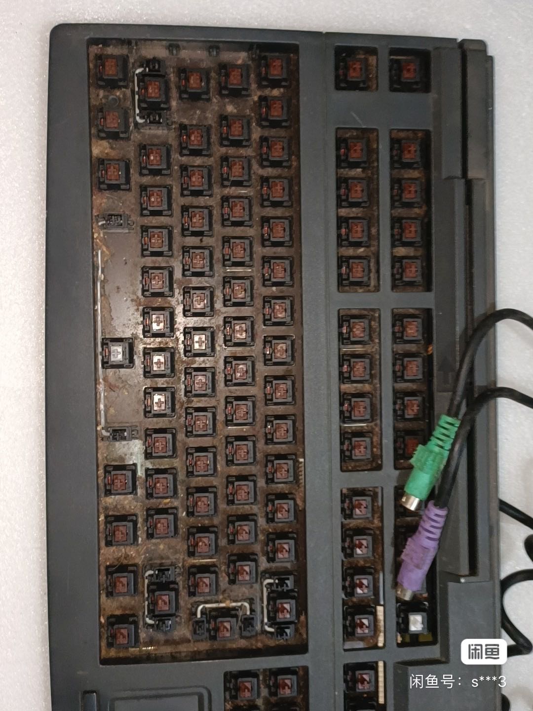 G80-8113 LRDUS