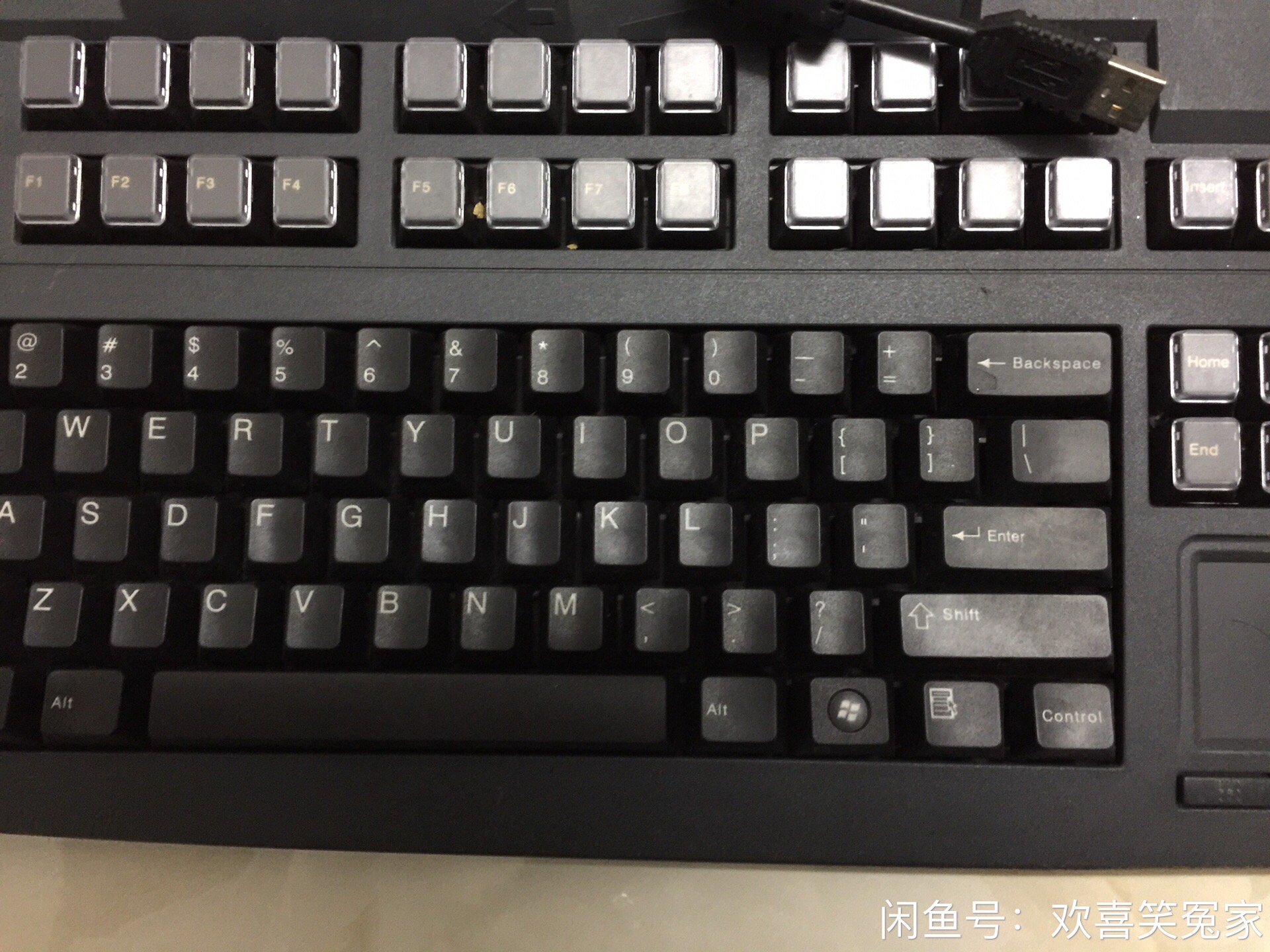 G80-8113 LUSUS