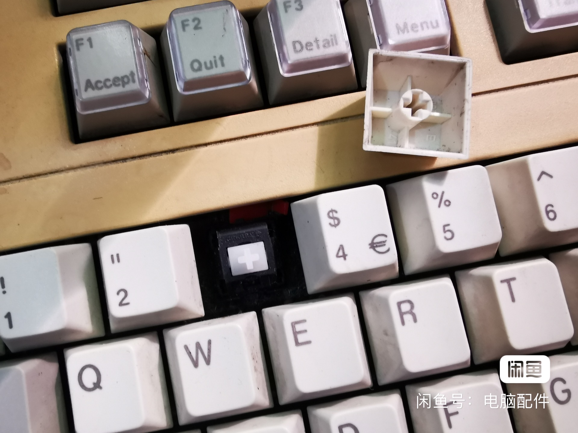 G80-8927 LSCGB