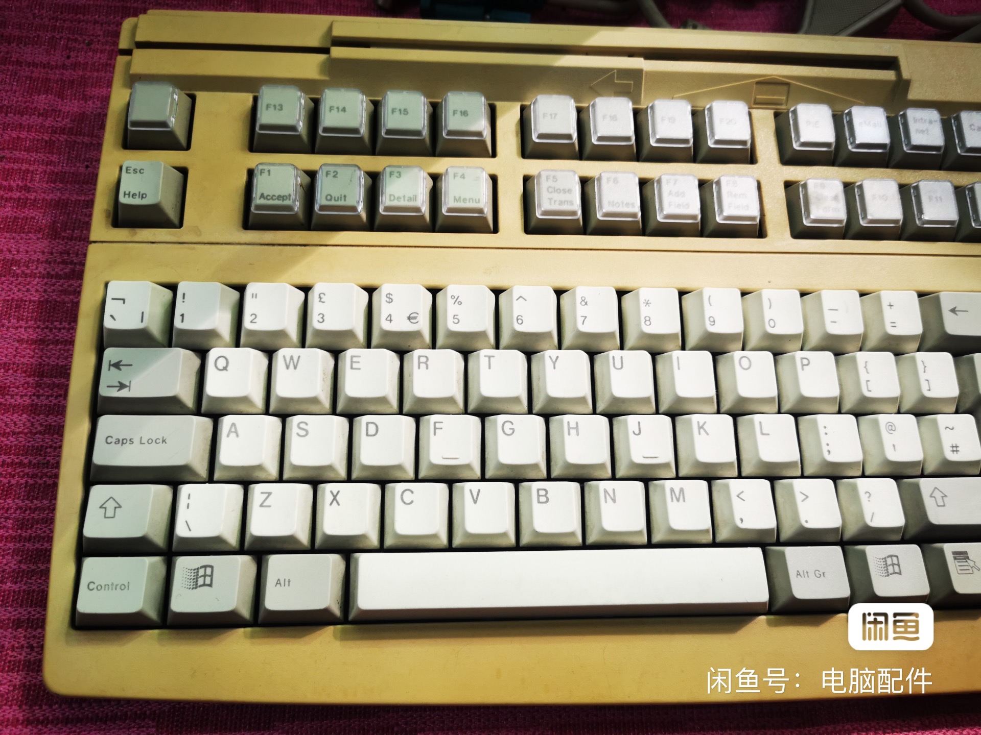 G80-8927 LSCGB