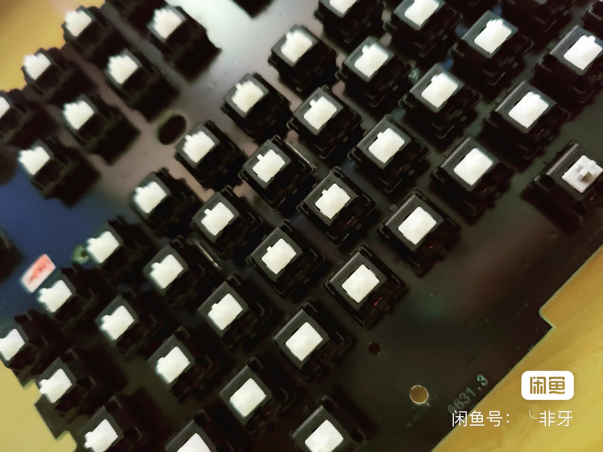 G80-8937 LSDGB