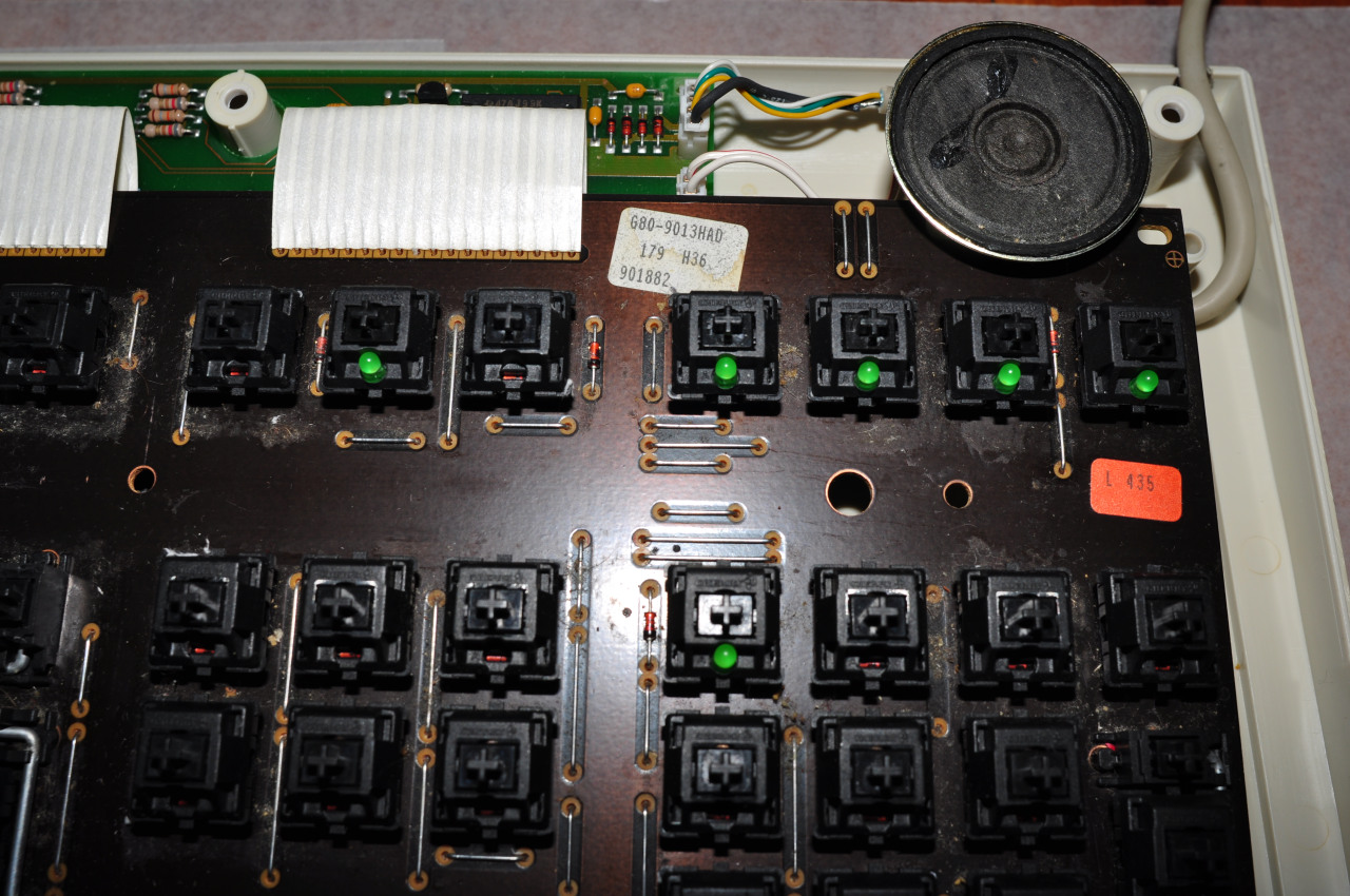 G80-9013 HAD