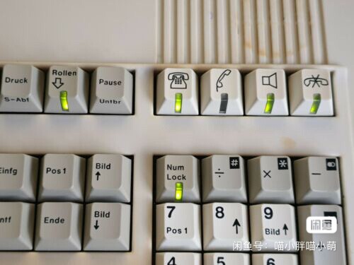 G80-9013 HAD