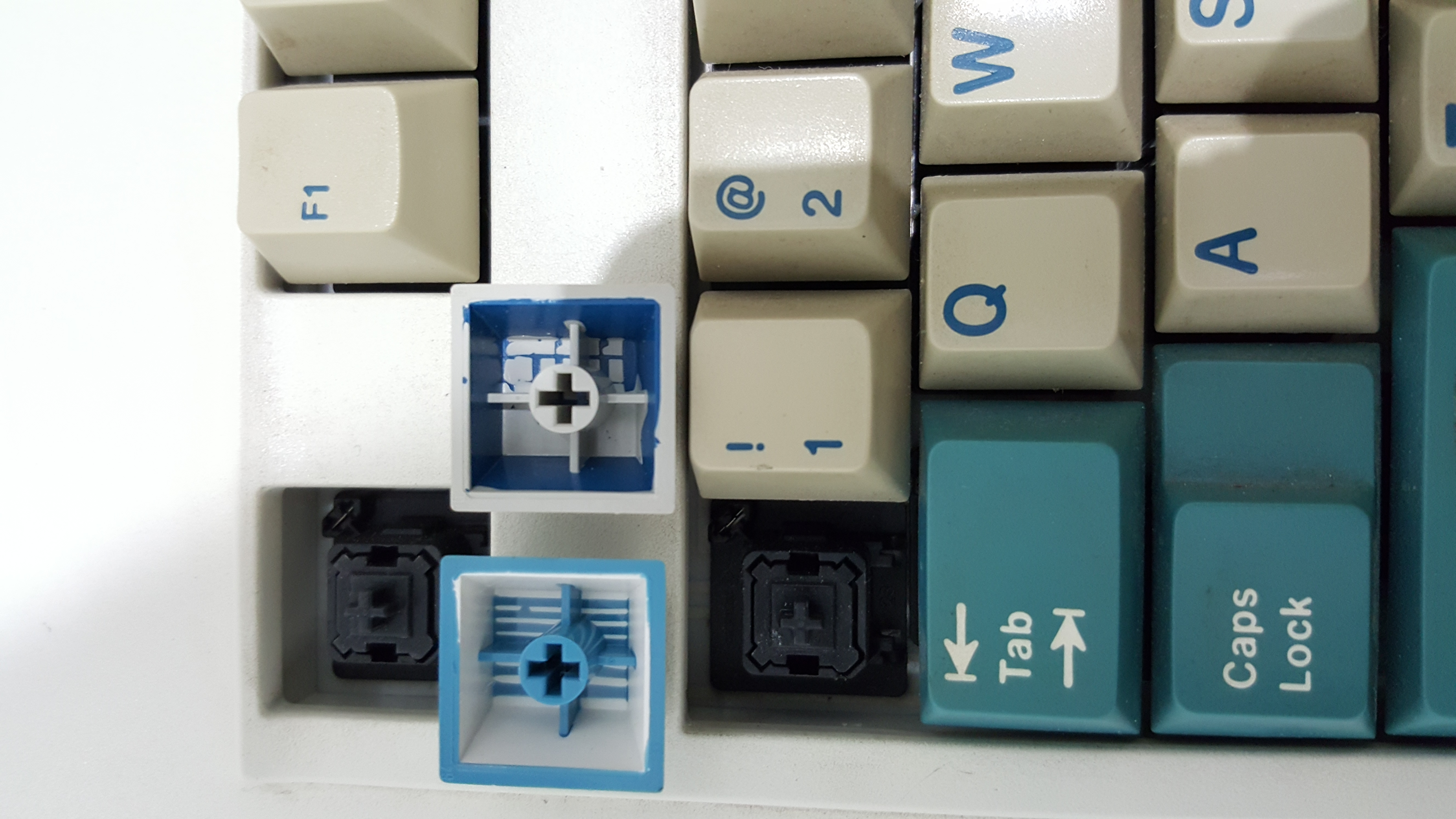 G81-1106 HAU