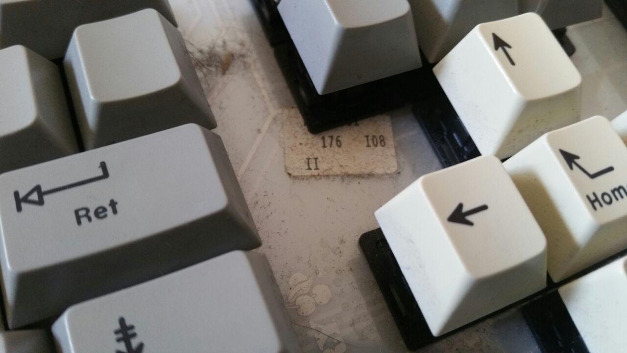 G81-1201 HAU