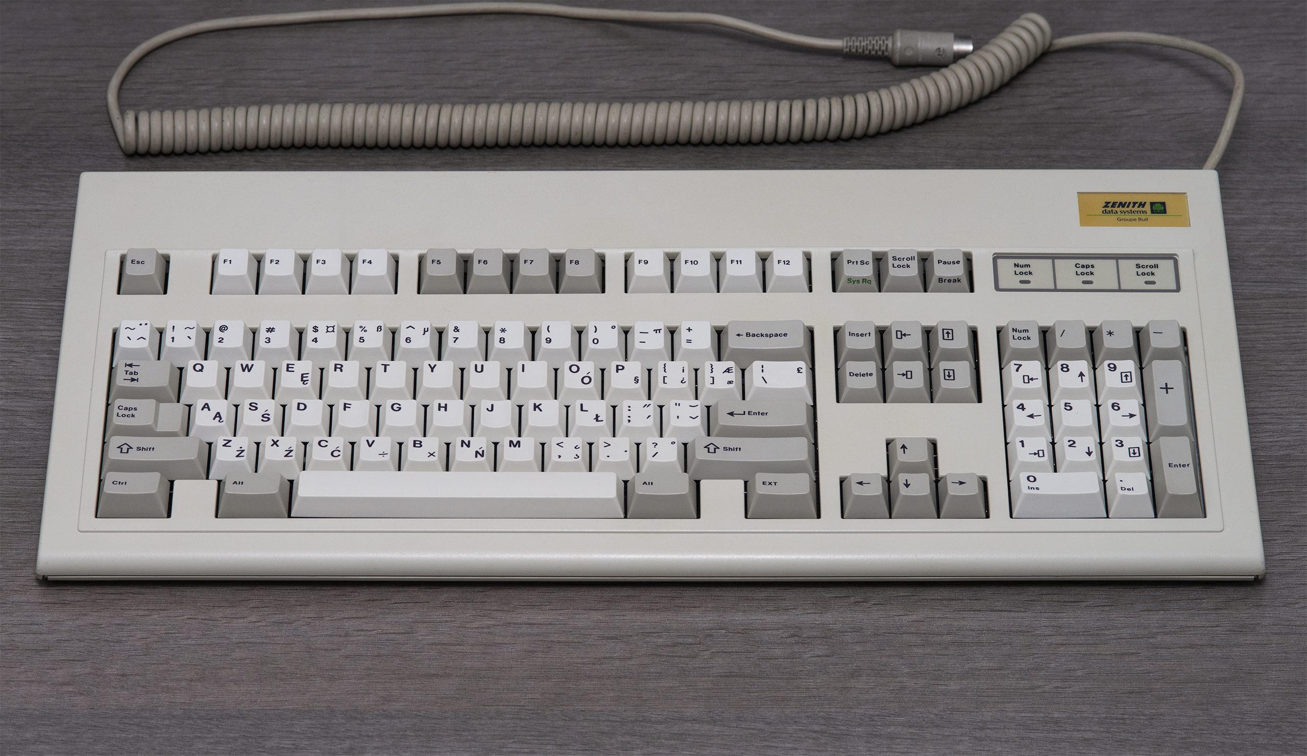 G81-1281