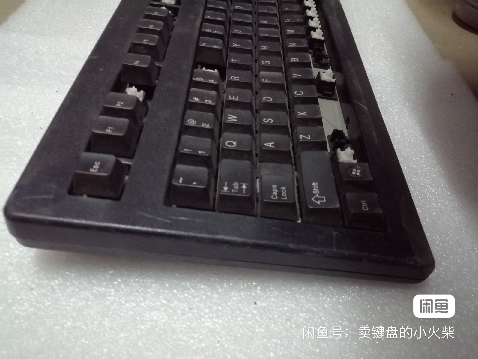 G81-1800 LPMUS-2
