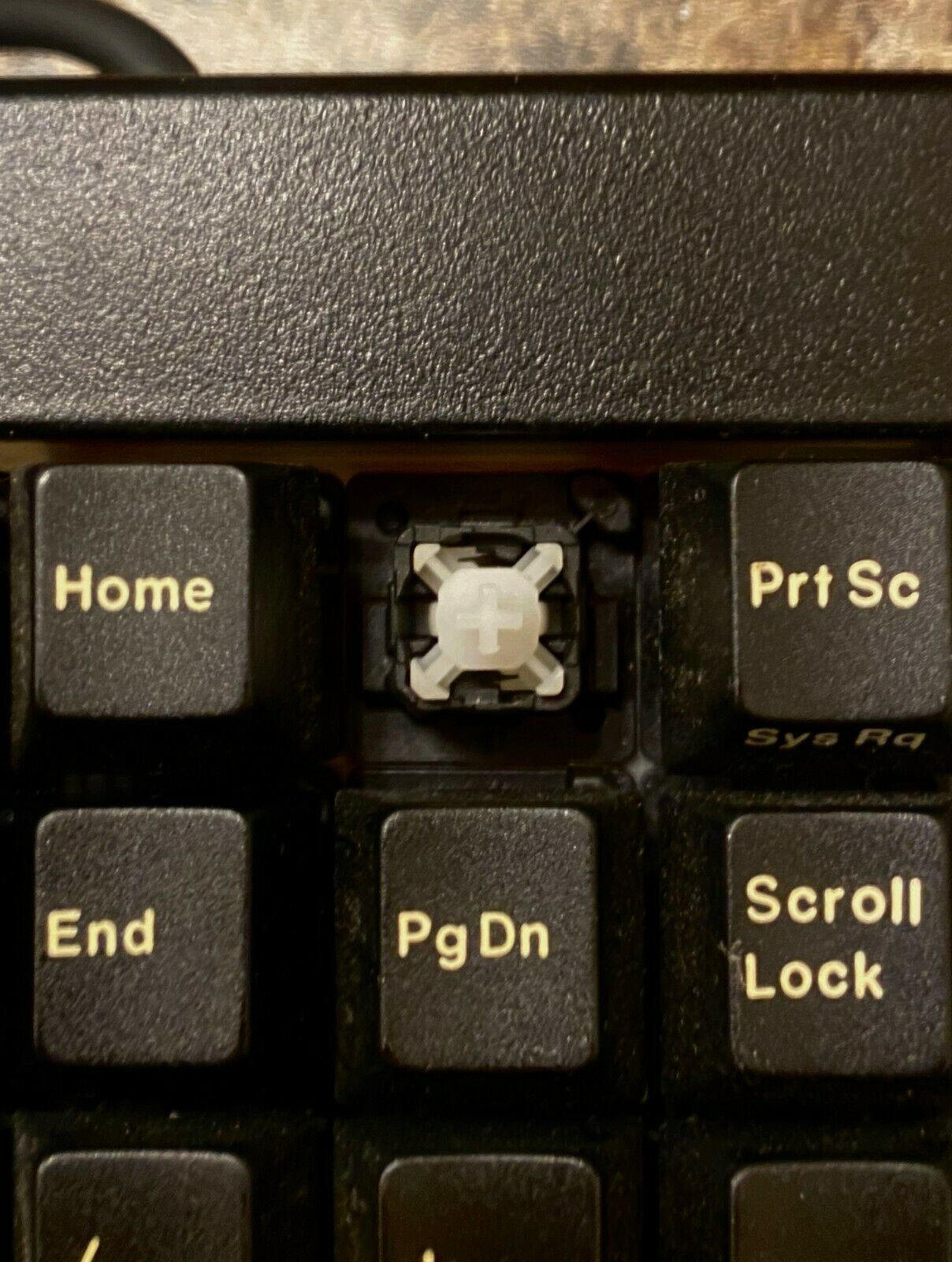 G81-1841 HQMUS