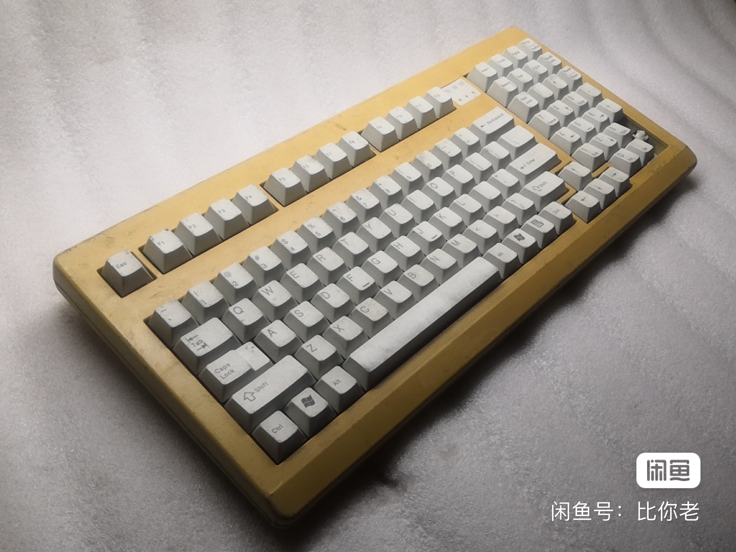 G81-1860 LAMUS
