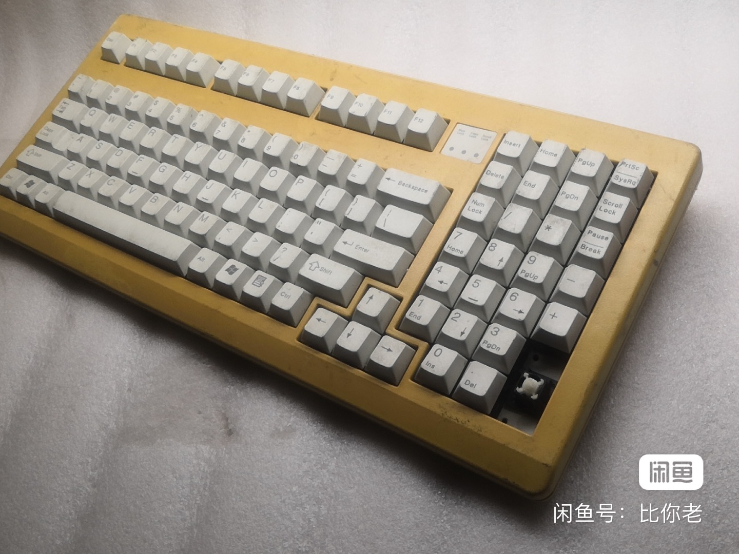 G81-1860 LAMUS