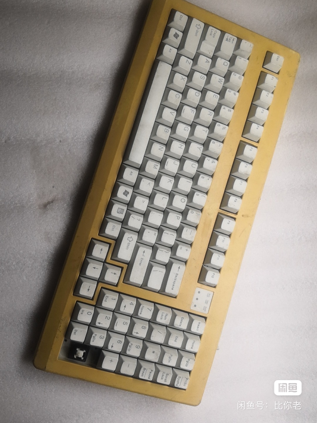 G81-1860 LAMUS