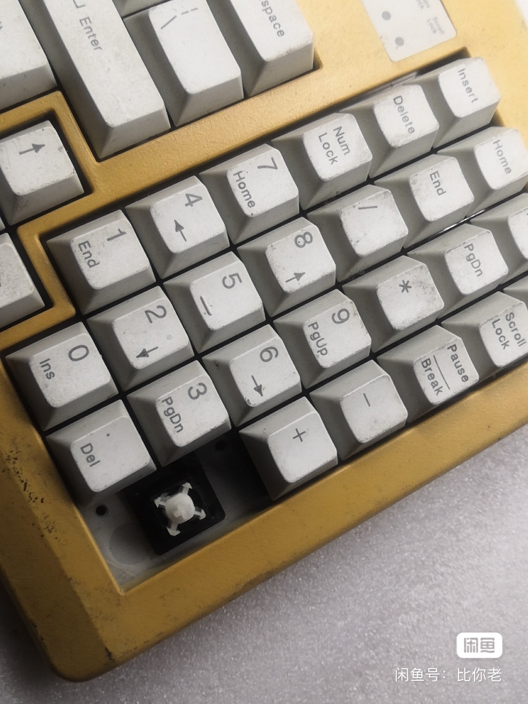 G81-1860 LAMUS