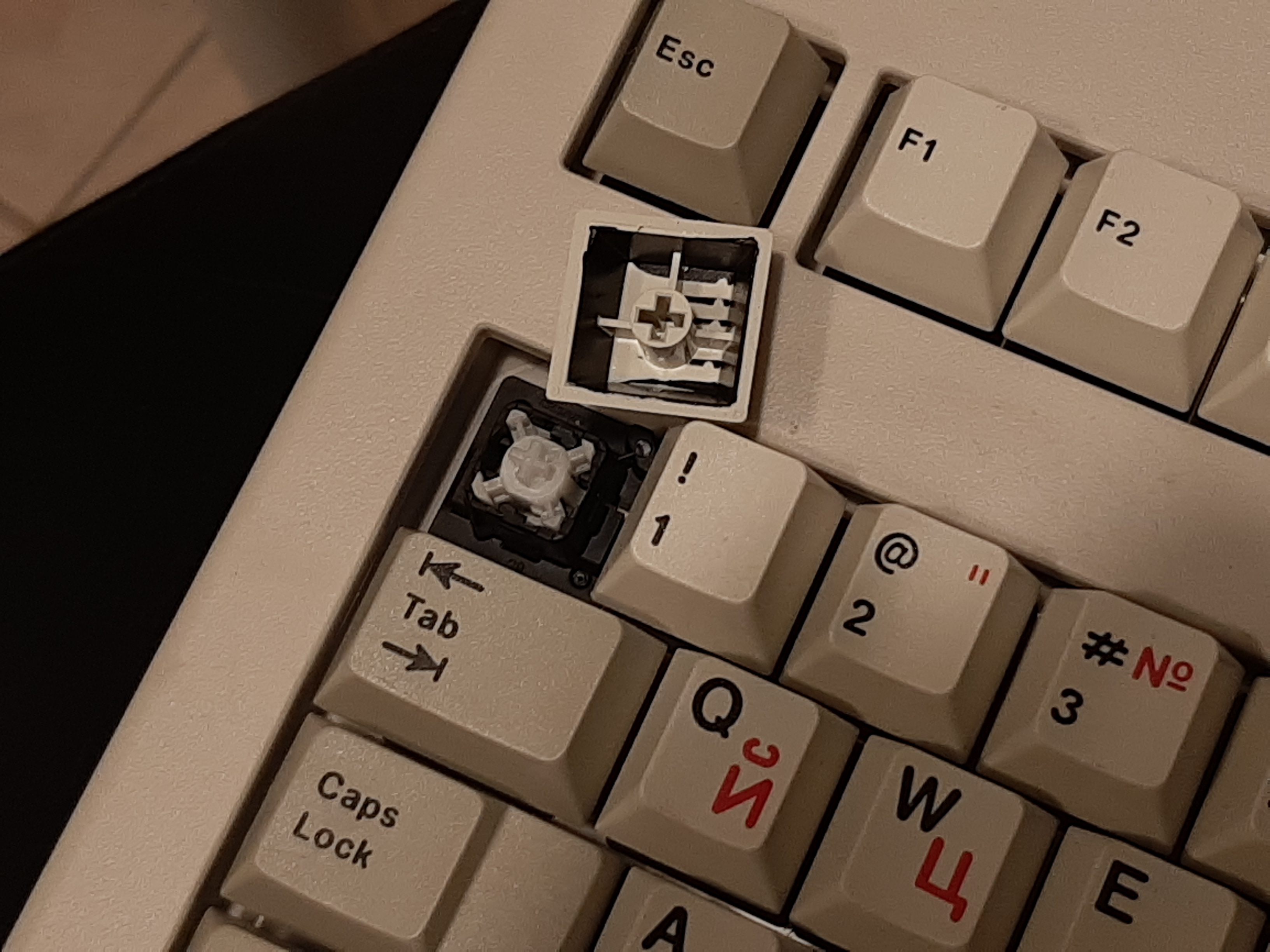 G81-1900 HAV