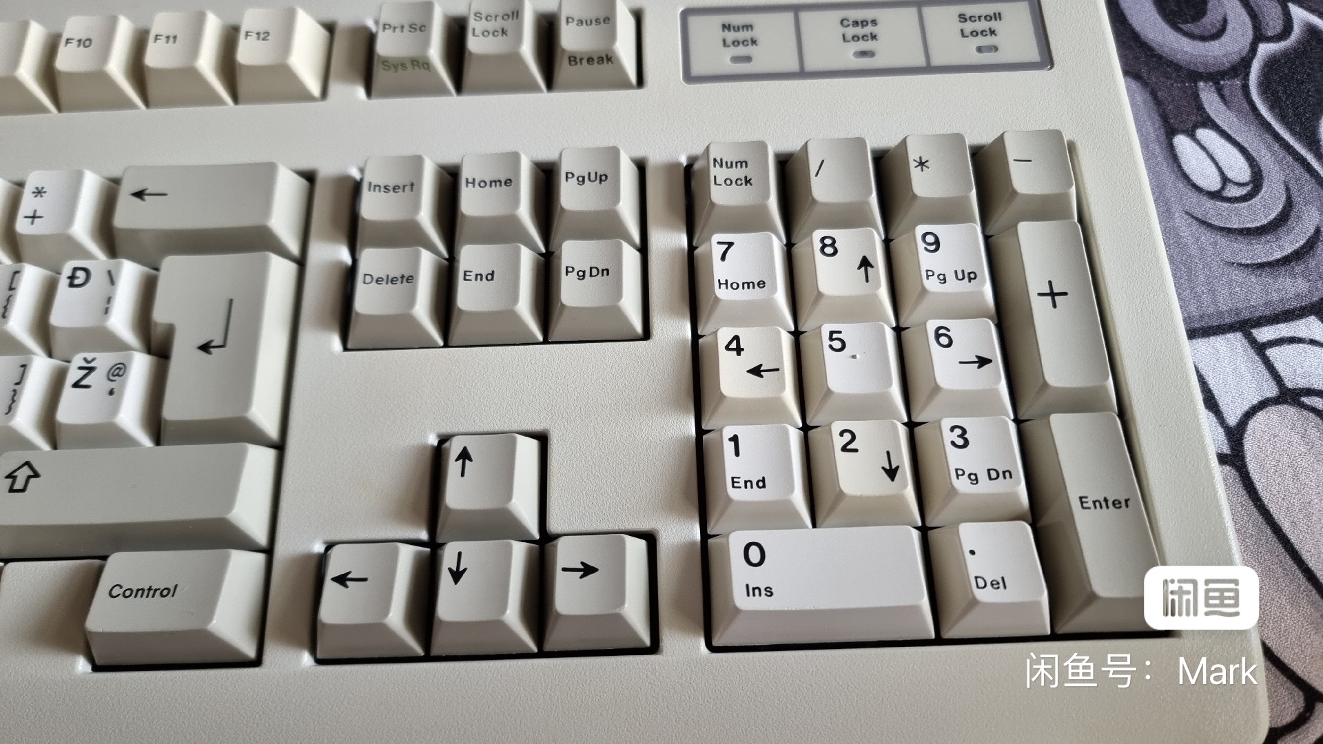 G81-3000 HAY