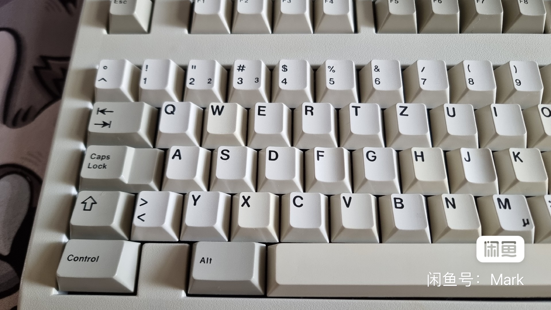 G81-3000 HAY