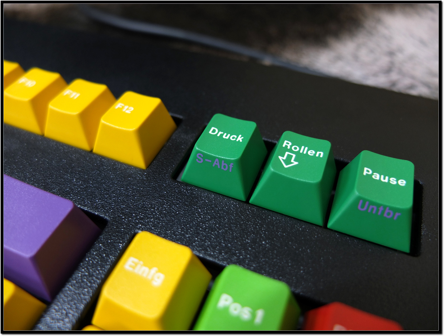 G81-3000 HBD