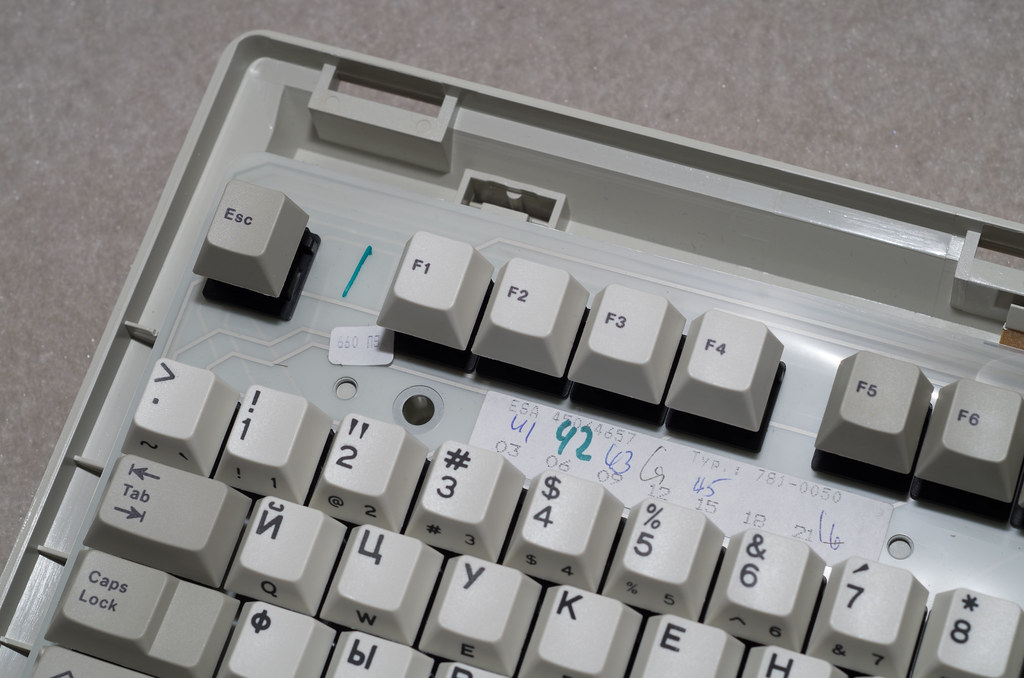 G81-3000 SAV