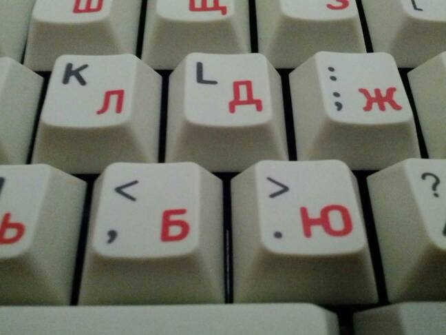 G81-3000 SAV