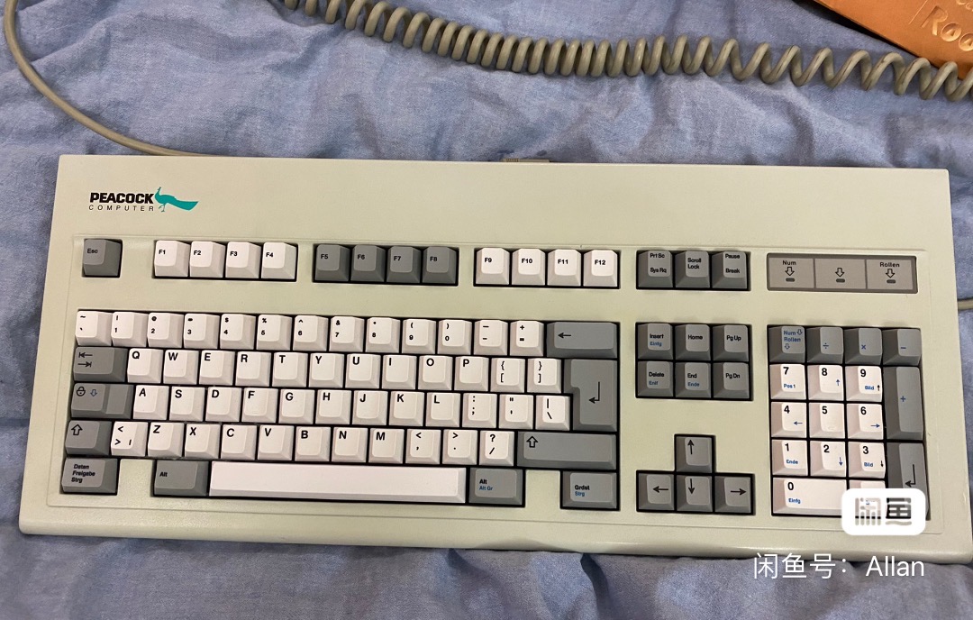 G81-3004