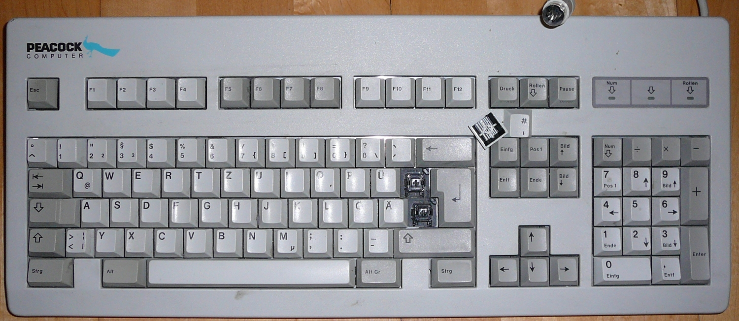 G81-3004 HAD/10