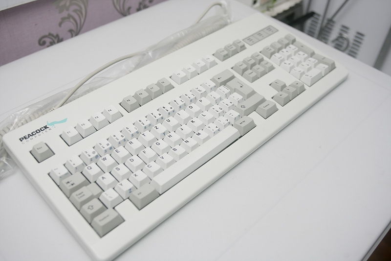 G81-3004 SAT
