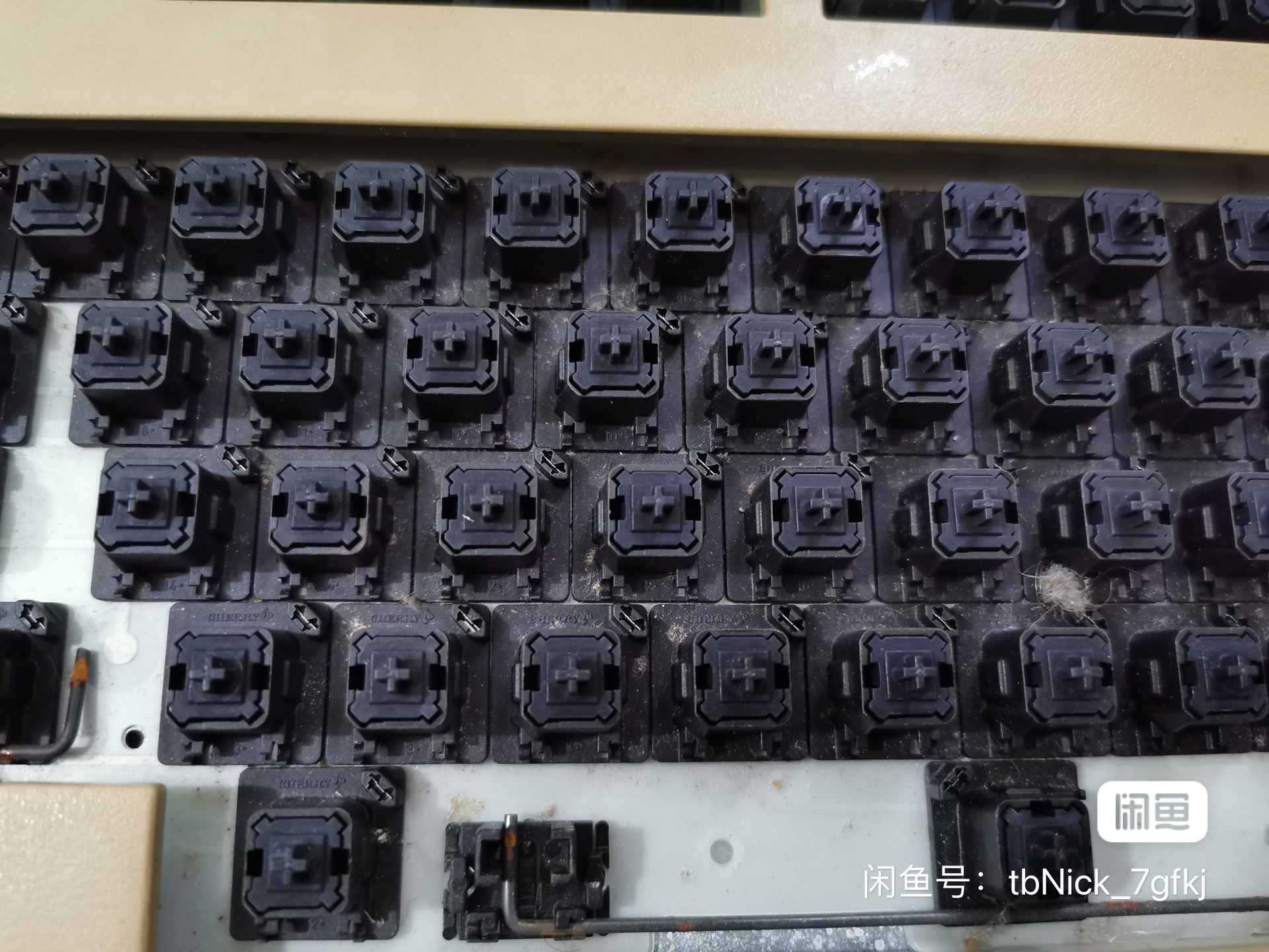 G81-3007 HAU