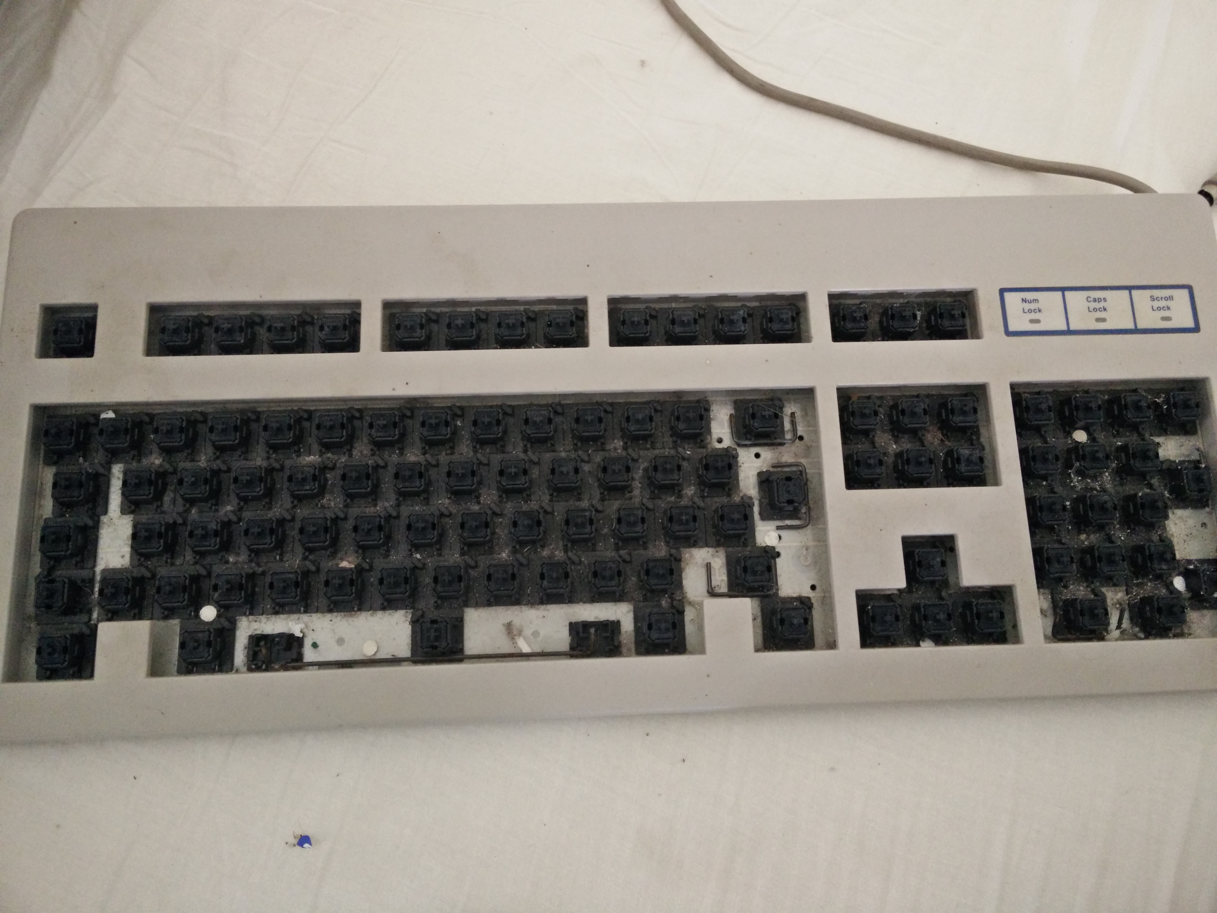 G81-3011 HBM