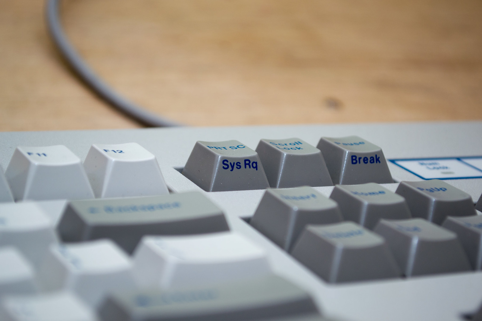 G81-3011 HBU