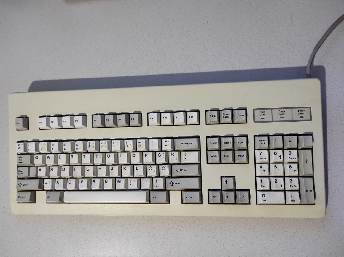 G81-3019