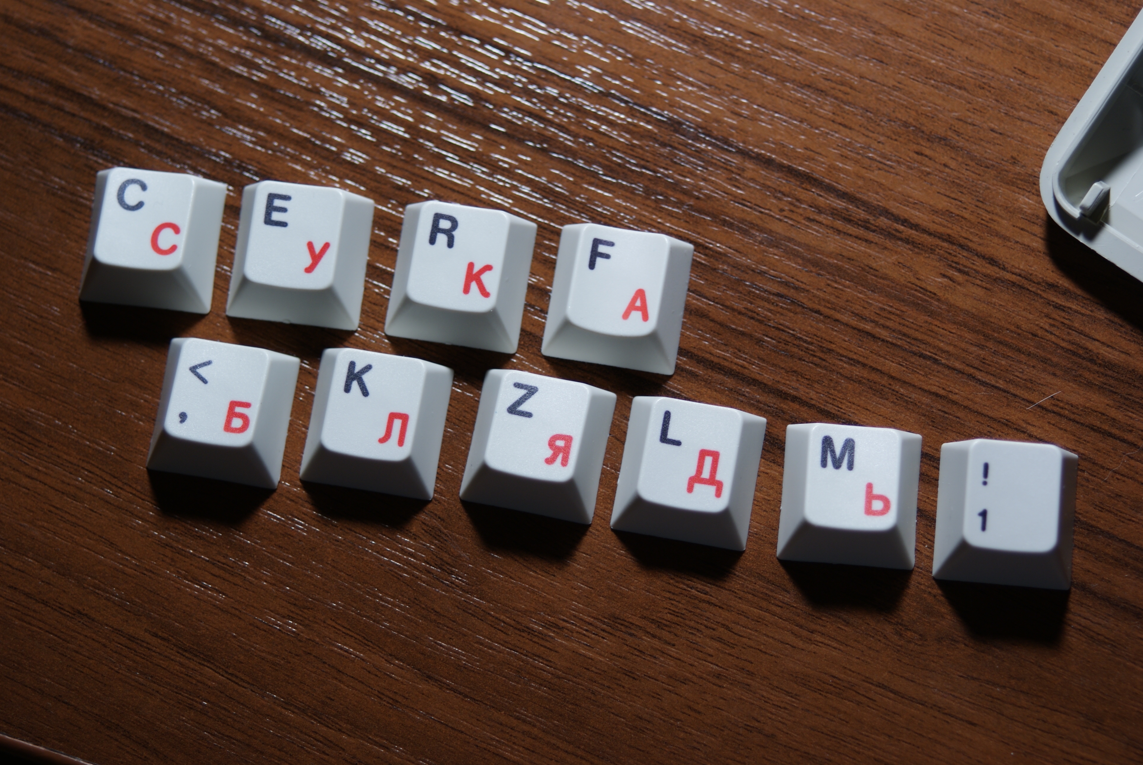 G81-3020 SAV