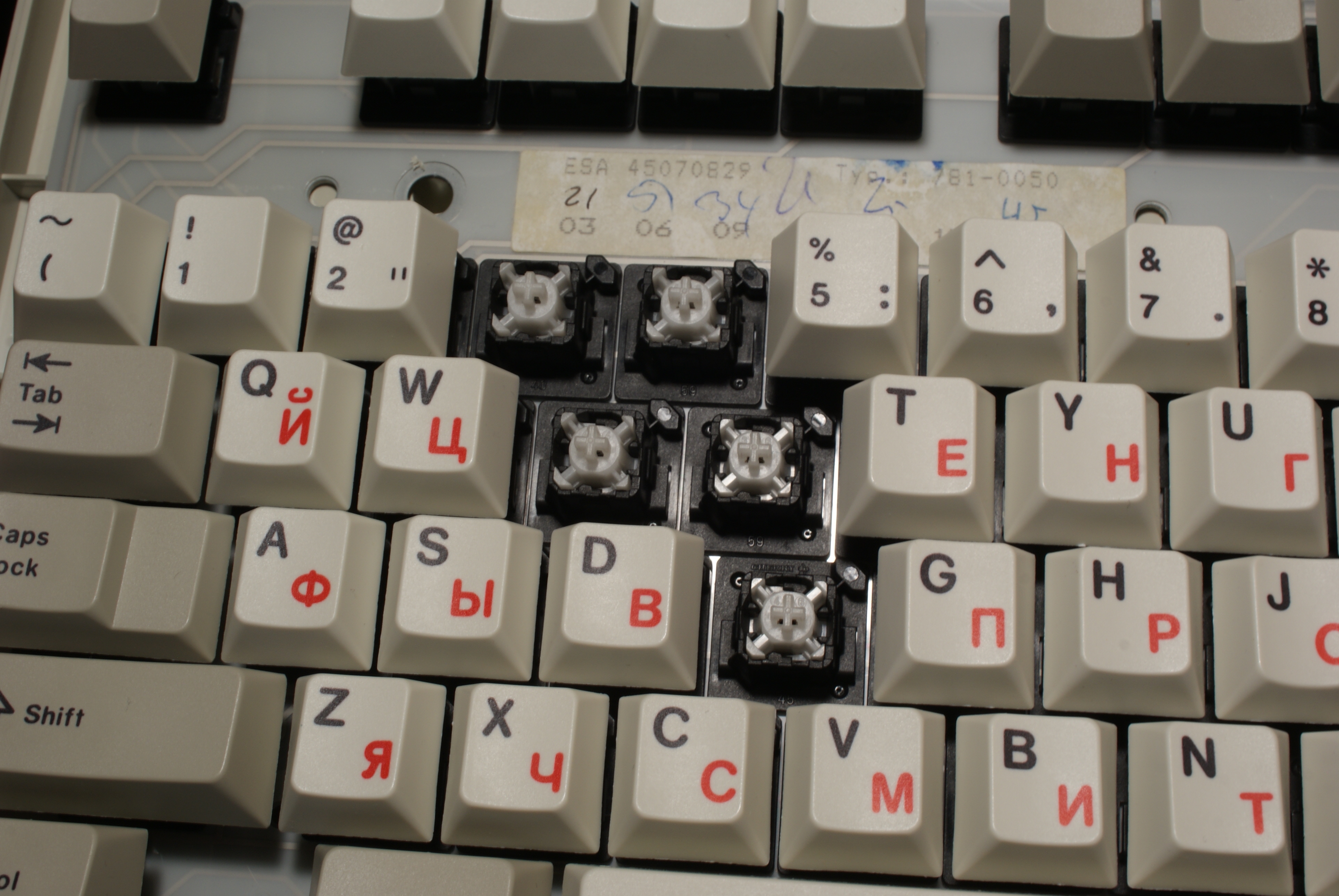 G81-3020 SAV