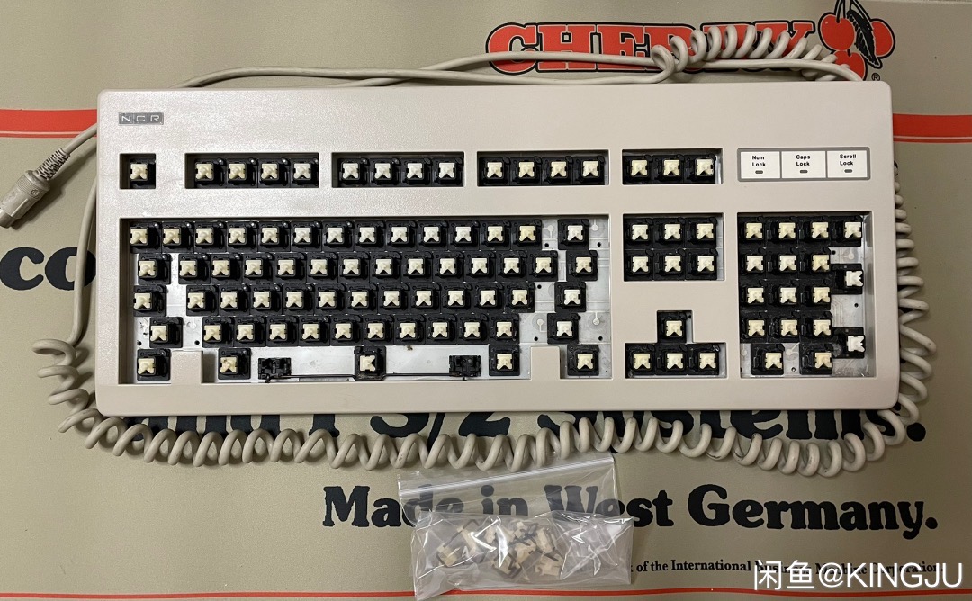 G81-3031