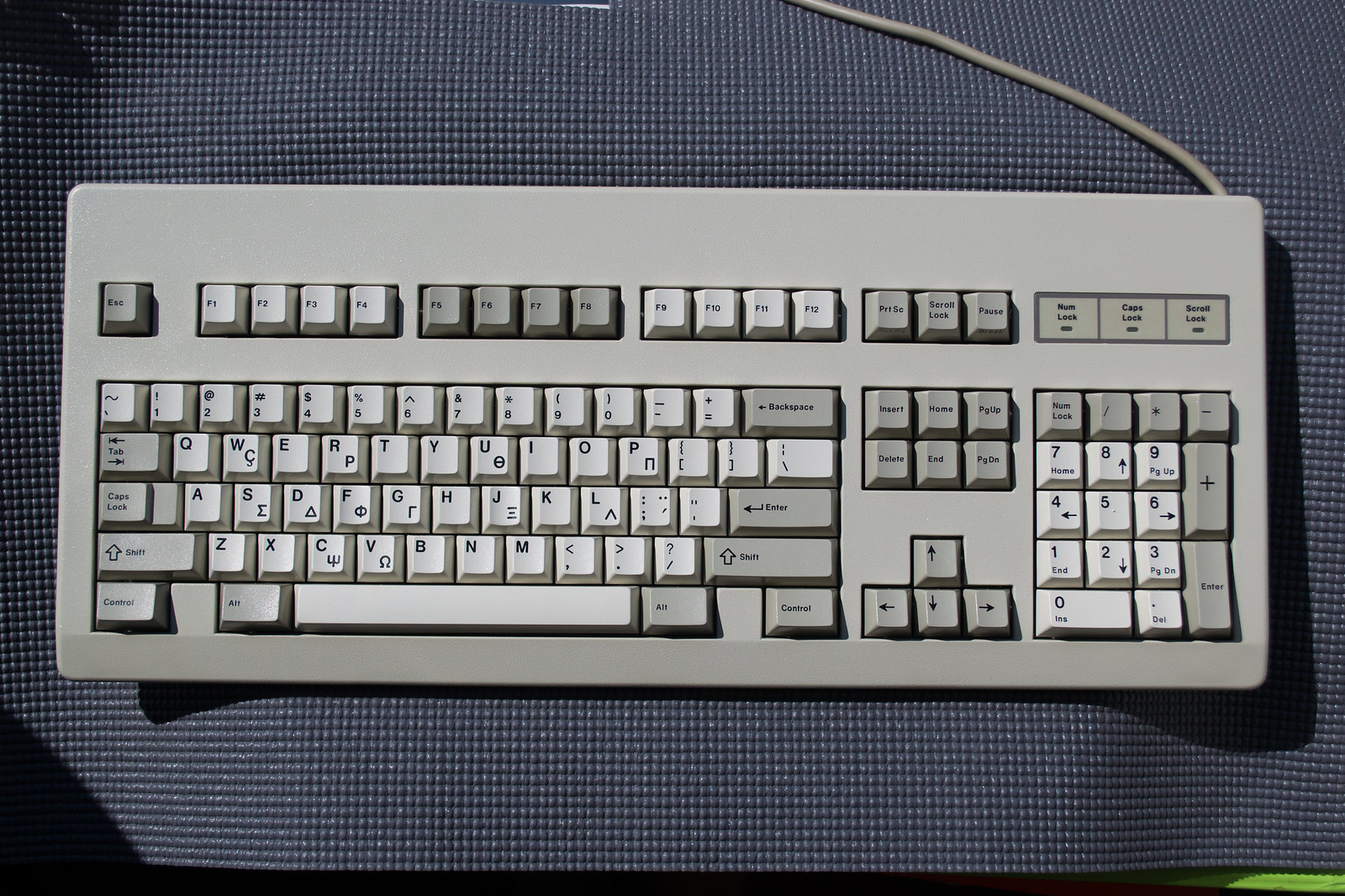 G81-3054 HAQ