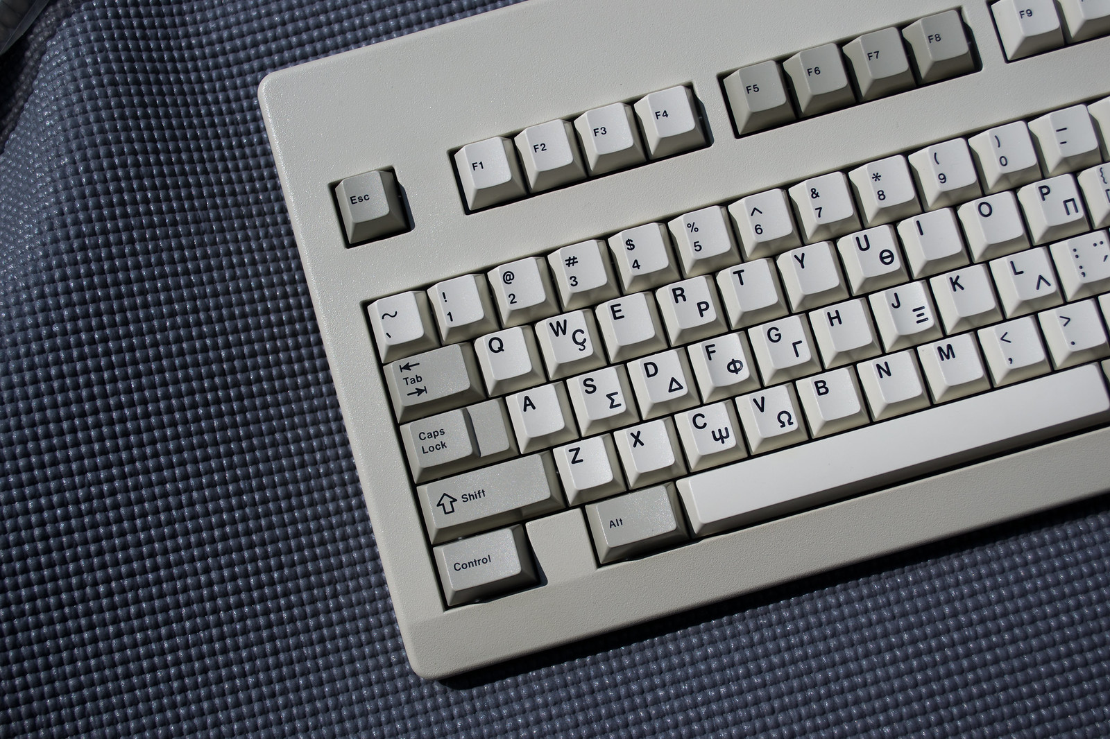G81-3054 HAQ