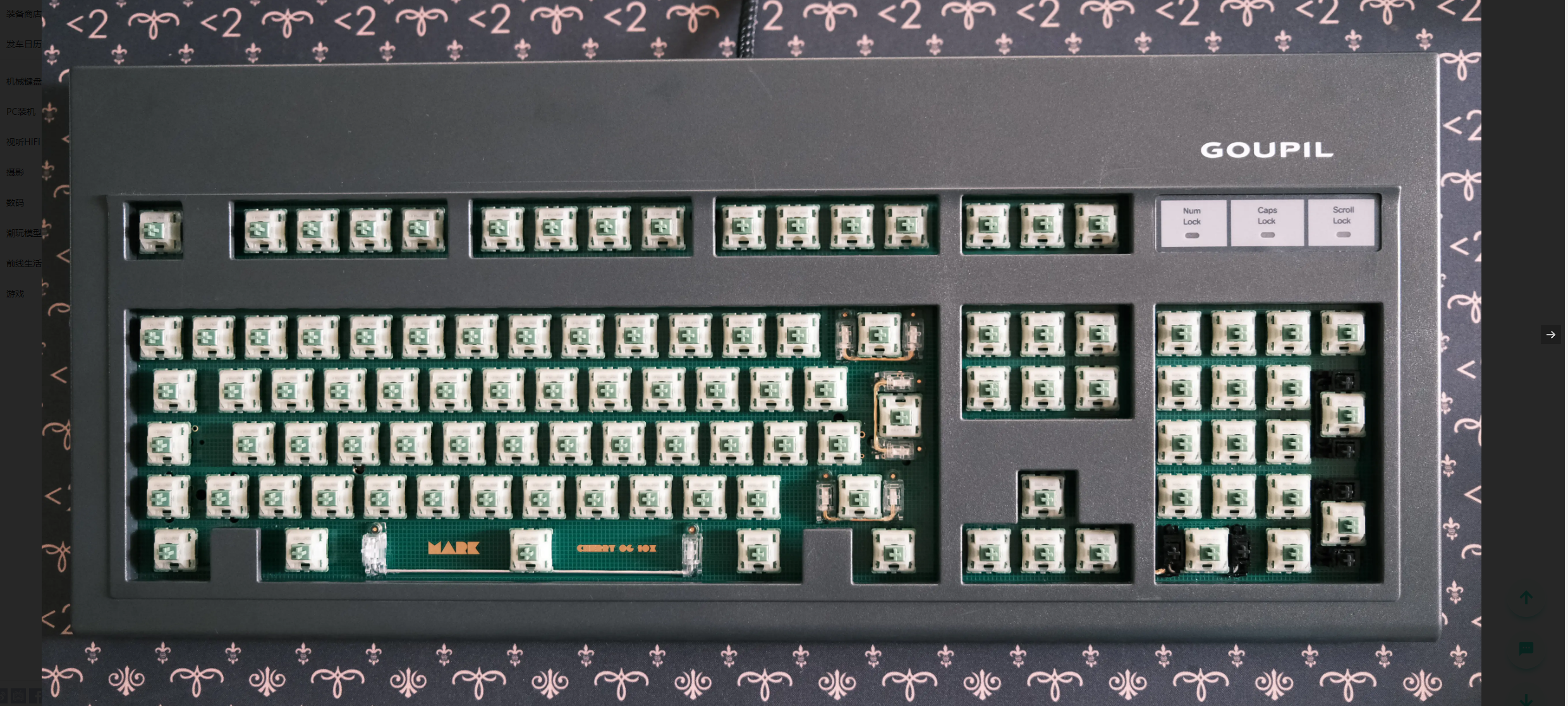 G81-3061 SAG