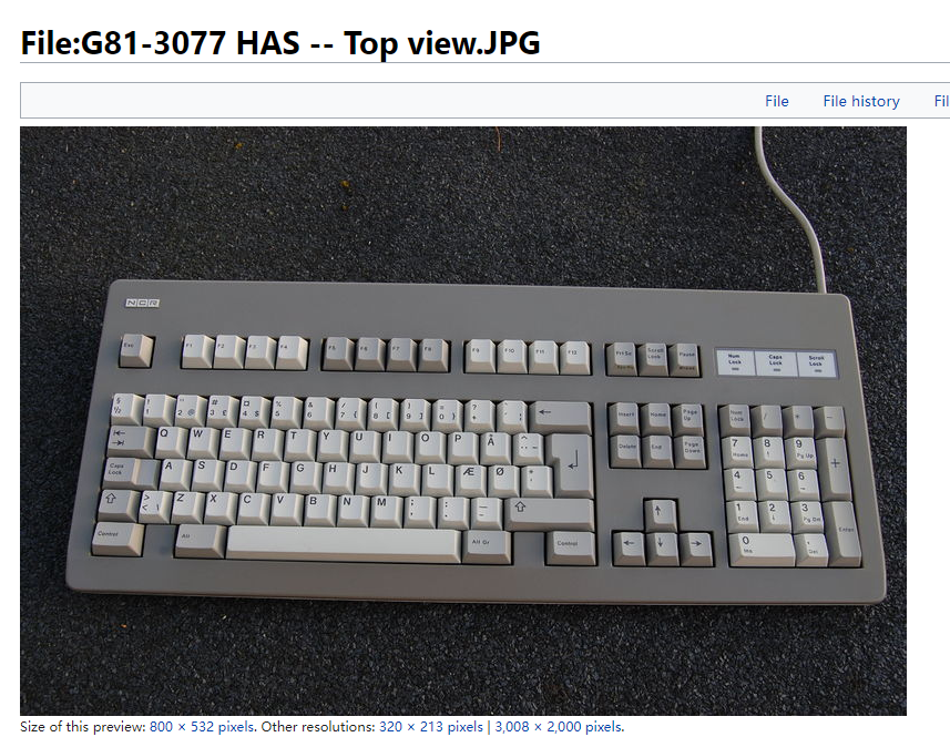 G81-3077 HAS