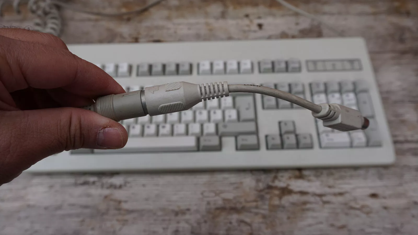 G81-3079 SAD