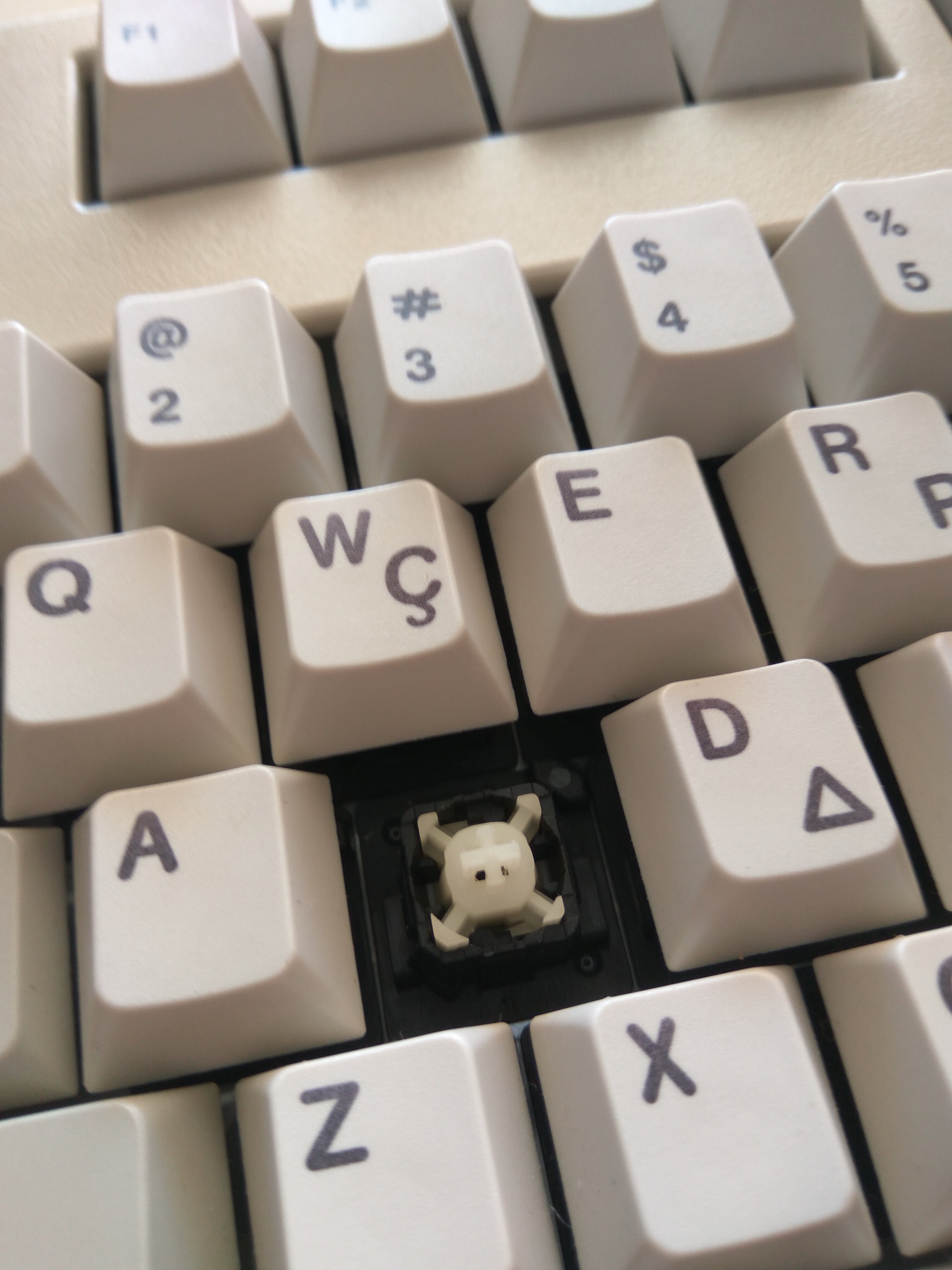 G81-3090 SAQ