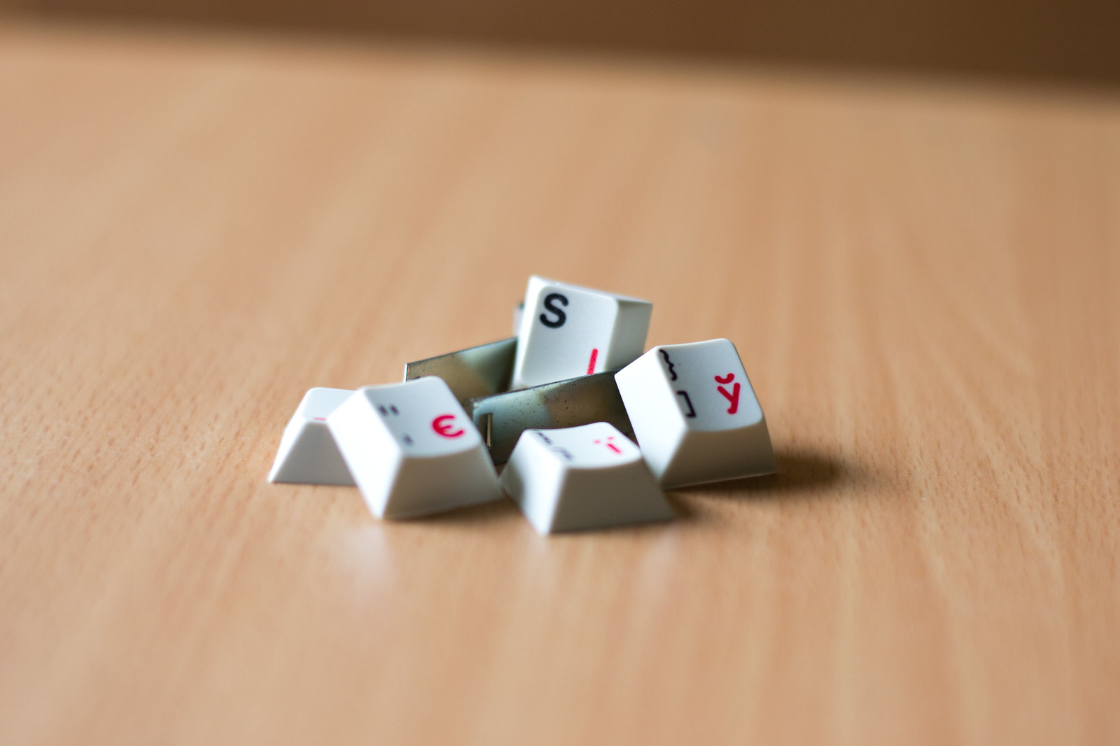 G81-3100 SAV