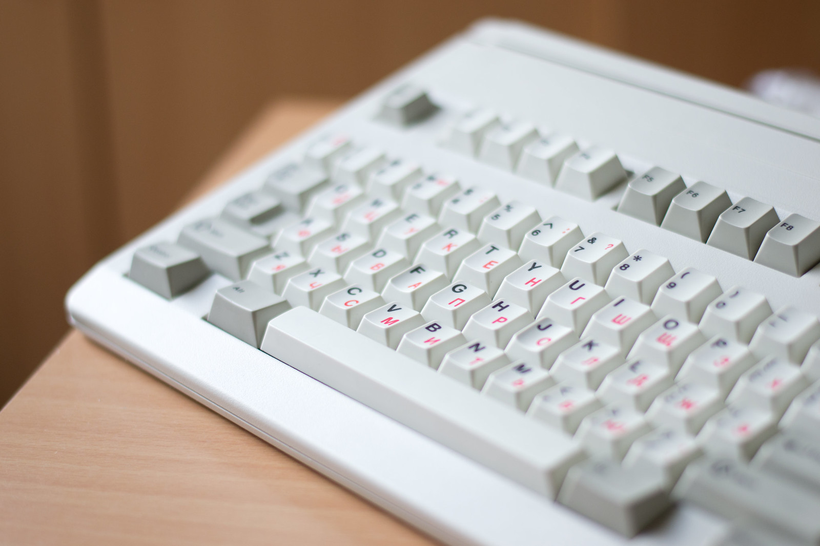 G81-3100 SAV