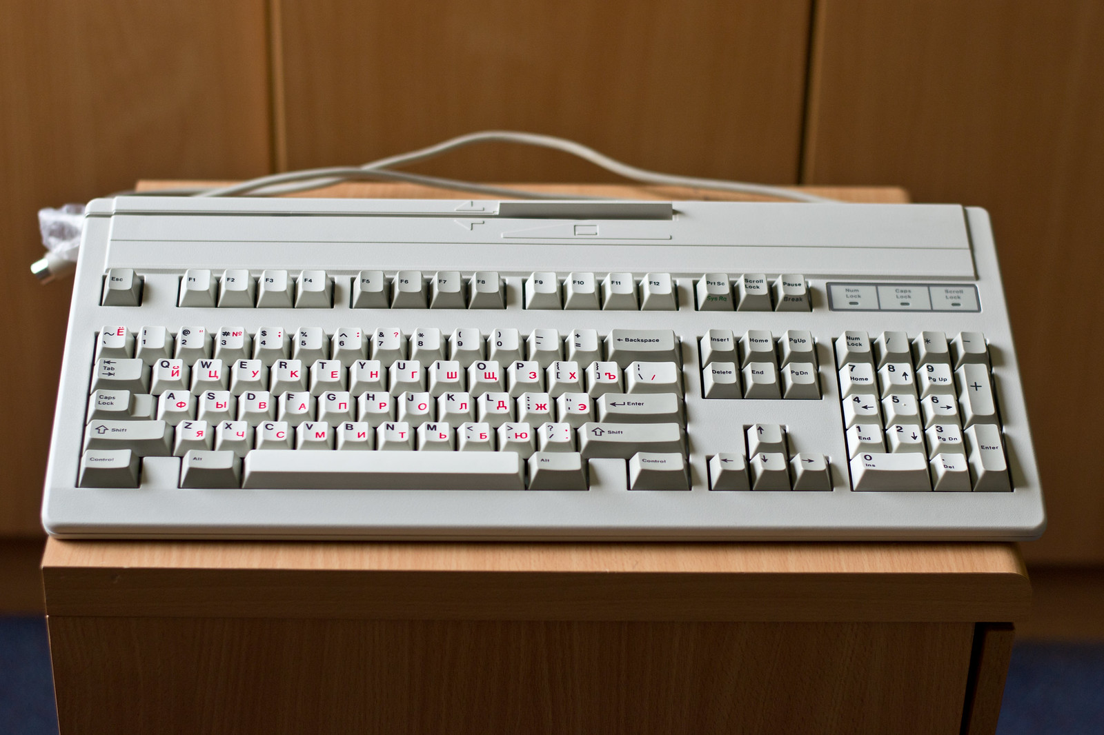 G81-3100 SAV