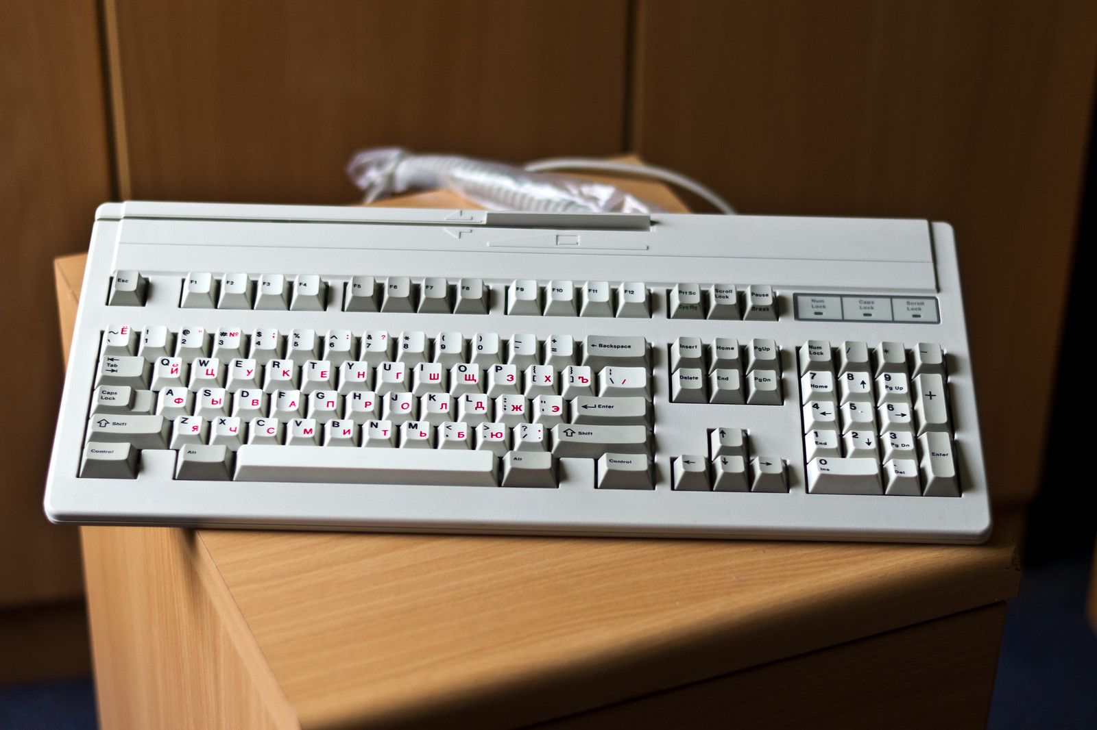 G81-3100 SAV